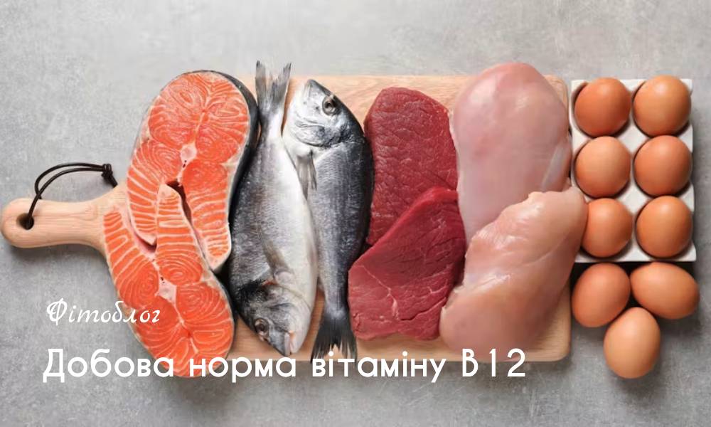 Добова норма вітаміну B12