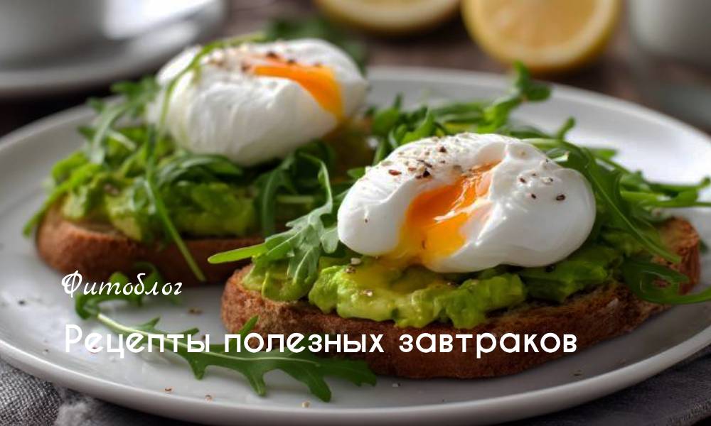 Рецепты полезных завтраков 